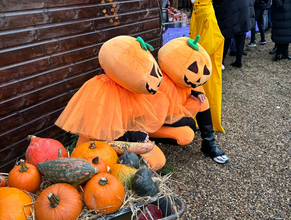 https://beentertained.premiumproductions.co.uk/wp-content/uploads/2026/01/Acts-Dancers-Pumpkin-Heads-1.webp