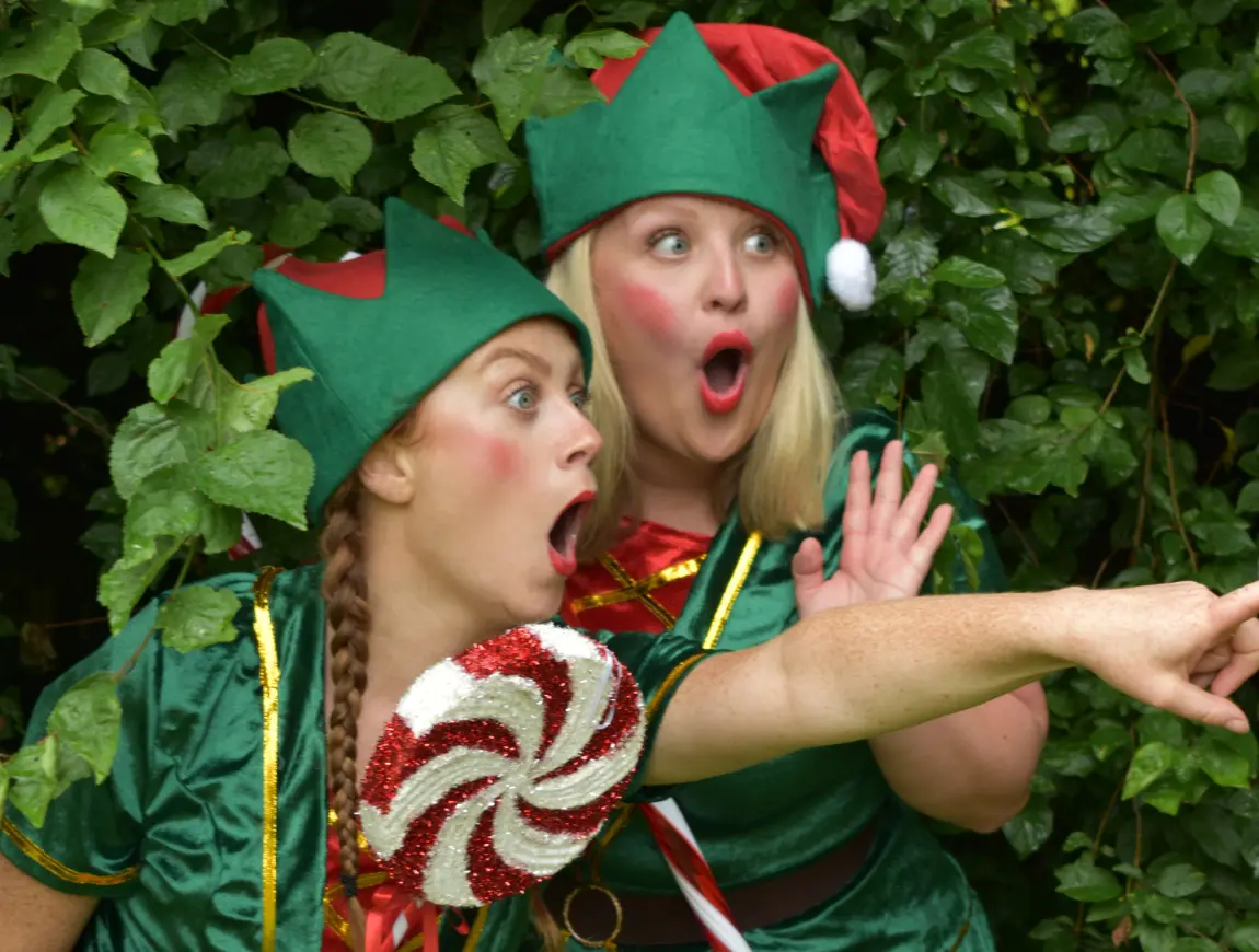 https://beentertained.premiumproductions.co.uk/wp-content/uploads/2026/01/Acts-Seasonal-Christmas-1.webp